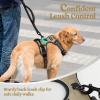 imagerabbitgoo Dog Harness No Pull with 2 Leash Clips Adjustable Soft Padded Reflective Oxford No Choke Pet Vest with Easy Control Handle for Large Dogs Pink LBeige