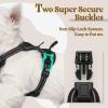 imagerabbitgoo Dog Harness No Pull with 2 Leash Clips Adjustable Soft Padded Reflective Oxford No Choke Pet Vest with Easy Control Handle for Large Dogs Pink LBlack