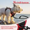 imagerabbitgoo Dog Harness No Pull with 2 Leash Clips Adjustable Soft Padded Reflective Oxford No Choke Pet Vest with Easy Control Handle for Large Dogs Pink LBlack  Red