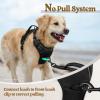 imagerabbitgoo Dog Harness No Pull with 2 Leash Clips Adjustable Soft Padded Reflective Oxford No Choke Pet Vest with Easy Control Handle for Large Dogs Pink LBlack