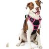 imagerabbitgoo Dog Harness No Pull with 2 Leash Clips Adjustable Soft Padded Reflective Oxford No Choke Pet Vest with Easy Control Handle for Large Dogs Pink LBlack  Hot Pink