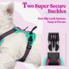 imagerabbitgoo Dog Harness No Pull with 2 Leash Clips Adjustable Soft Padded Reflective Oxford No Choke Pet Vest with Easy Control Handle for Large Dogs Pink LHot Pink  Turquoise