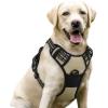 imagerabbitgoo Dog Harness No Pull with 2 Leash Clips Adjustable Soft Padded Reflective Oxford No Choke Pet Vest with Easy Control Handle for Large Dogs Pink LBeige
