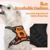imagerabbitgoo Dog Harness No Pull with 2 Leash Clips Adjustable Soft Padded Reflective Oxford No Choke Pet Vest with Easy Control Handle for Large Dogs Pink LOrange