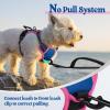 imagerabbitgoo Dog Harness No Pull with 2 Leash Clips Adjustable Soft Padded Reflective Oxford No Choke Pet Vest with Easy Control Handle for Large Dogs Pink LBlue  Hot Pink