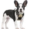 imagerabbitgoo Dog Harness No Pull with 2 Leash Clips Adjustable Soft Padded Reflective Oxford No Choke Pet Vest with Easy Control Handle for Large Dogs Pink LBeige