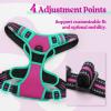 imagerabbitgoo Dog Harness No Pull with 2 Leash Clips Adjustable Soft Padded Reflective Oxford No Choke Pet Vest with Easy Control Handle for Large Dogs Pink LHot Pink  Turquoise