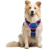 imagerabbitgoo Dog Harness No Pull with 2 Leash Clips Adjustable Soft Padded Reflective Oxford No Choke Pet Vest with Easy Control Handle for Large Dogs Pink LBlue  Hot Pink