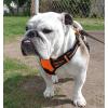 imagerabbitgoo Dog Harness No Pull with 2 Leash Clips Adjustable Soft Padded Reflective Oxford No Choke Pet Vest with Easy Control Handle for Large Dogs Pink LOrange