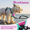 imagerabbitgoo Dog Harness No Pull with 2 Leash Clips Adjustable Soft Padded Reflective Oxford No Choke Pet Vest with Easy Control Handle for Large Dogs Pink LHot Pink  Turquoise