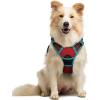 imagerabbitgoo Dog Harness No Pull with 2 Leash Clips Adjustable Soft Padded Reflective Oxford No Choke Pet Vest with Easy Control Handle for Large Dogs Pink LRed  Teal