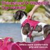 imagerabbitgoo Tactical Dog Harness for Large Dogs No Pull Military Service Vest with Handle ampamp Molle Easy Control for Training Walking Adjustable Reflective Straps Black LRose Red