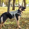 imagerabbitgoo Tactical Dog Harness for Large Heavy Duty Pet Harness with Handle NoPull Service Vest Large Breed Adjustable Military Dog Vest for Training Hunting Walking Black LGrey