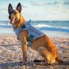 imagerabbitgoo Tactical Dog Harness for Large Heavy Duty Pet Harness with Handle NoPull Service Vest Large Breed Adjustable Military Dog Vest for Training Hunting Walking Black LBlue