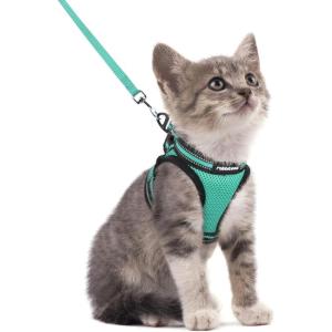 imagerabbitgoo Cat Harness and Leash Set for Walking Escape Proof Adjustable Soft Kittens Vest with Reflective Strip for Cats Comfortable Outdoor Vest Purple SGreen