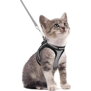 imagerabbitgoo Cat Harness and Leash Set for Walking Escape Proof Adjustable Soft Kittens Vest with Reflective Strip for Cats Comfortable Outdoor Vest Purple SGrey