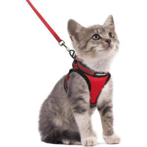 imagerabbitgoo Cat Harness and Leash Set for Walking Escape Proof Adjustable Soft Kittens Vest with Reflective Strip for Cats Comfortable Outdoor Vest Purple SRed