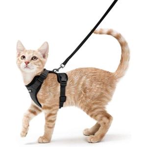 imagerabbitgoo Cat Harness and Leash for Walking Escape Proof Soft Adjustable Vest Harnesses for Cats Easy Control Breathable Reflective Strips Jacket Emerald XSBlack