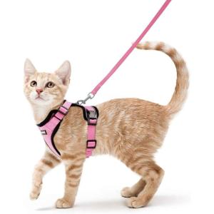 imagerabbitgoo Cat Harness and Leash for Walking Escape Proof Soft Adjustable Vest Harnesses for Cats Easy Control Breathable Reflective Strips Jacket Emerald XSPink