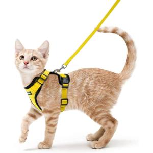 imagerabbitgoo Cat Harness and Leash for Walking Escape Proof Soft Adjustable Vest Harnesses for Cats Easy Control Breathable Reflective Strips Jacket Emerald XSYellow