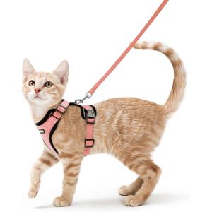 imagerabbitgoo Cat Harness and Leash for Walking Escape Proof Soft Adjustable Vest Harnesses for Cats Easy Control Breathable Reflective Strips Jacket Emerald XSLight Salmon Pink