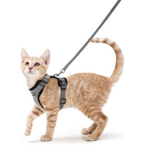 imagerabbitgoo Cat Harness and Leash for Walking Escape Proof Soft Adjustable Vest Harnesses for Cats Easy Control Breathable Reflective Strips Jacket Emerald XSGrey