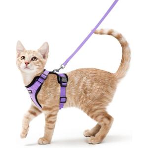 imagerabbitgoo Cat Harness and Leash for Walking Escape Proof Soft Adjustable Vest Harnesses for Cats Easy Control Breathable Reflective Strips Jacket Emerald XSLight Purple