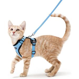 imagerabbitgoo Cat Harness and Leash for Walking Escape Proof Soft Adjustable Vest Harnesses for Cats Easy Control Breathable Reflective Strips Jacket Emerald XSLight Blue