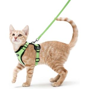 imagerabbitgoo Cat Harness and Leash for Walking Escape Proof Soft Adjustable Vest Harnesses for Cats Easy Control Breathable Reflective Strips Jacket Emerald XSLight Green