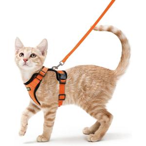 imagerabbitgoo Cat Harness and Leash for Walking Escape Proof Soft Adjustable Vest Harnesses for Cats Easy Control Breathable Reflective Strips Jacket Emerald XSOrange