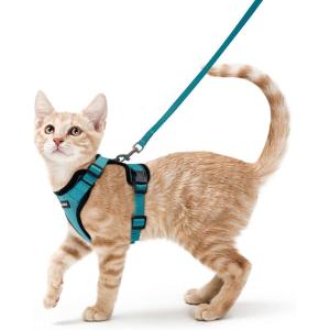 imagerabbitgoo Cat Harness and Leash for Walking Escape Proof Soft Adjustable Vest Harnesses for Cats Easy Control Breathable Reflective Strips Jacket Emerald XSTeal