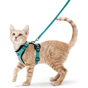 imagerabbitgoo Cat Harness and Leash for Walking Escape Proof Soft Adjustable Vest Harnesses for Cats Easy Control Breathable Reflective Strips Jacket Emerald XSEmerald