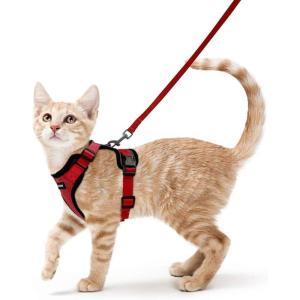 imagerabbitgoo Cat Harness and Leash for Walking Escape Proof Soft Adjustable Vest Harnesses for Cats Easy Control Breathable Reflective Strips Jacket Emerald XSRed