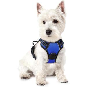 imagerabbitgoo Dog Harness No Pull with 2 Leash Clips Adjustable Soft Padded Reflective Oxford No Choke Pet Vest with Easy Control Handle for Large Dogs Pink LDazzling Blue