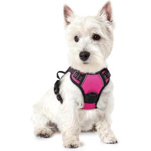 imagerabbitgoo Dog Harness No Pull with 2 Leash Clips Adjustable Soft Padded Reflective Oxford No Choke Pet Vest with Easy Control Handle for Large Dogs Pink LHot Pink