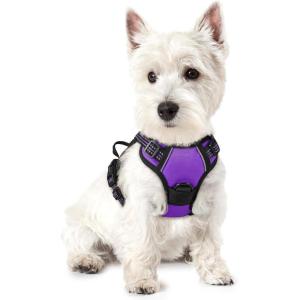 imagerabbitgoo Dog Harness No Pull with 2 Leash Clips Adjustable Soft Padded Reflective Oxford No Choke Pet Vest with Easy Control Handle for Large Dogs Pink LPurple