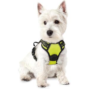 imagerabbitgoo Dog Harness No Pull with 2 Leash Clips Adjustable Soft Padded Reflective Oxford No Choke Pet Vest with Easy Control Handle for Large Dogs Pink LWild Lime