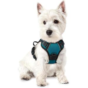 imagerabbitgoo Dog Harness No Pull with 2 Leash Clips Adjustable Soft Padded Reflective Oxford No Choke Pet Vest with Easy Control Handle for Large Dogs Pink LBlue Coral