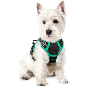 imagerabbitgoo Dog Harness No Pull with 2 Leash Clips Adjustable Soft Padded Reflective Oxford No Choke Pet Vest with Easy Control Handle for Large Dogs Pink LBlack  Turquoise