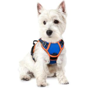 imagerabbitgoo Dog Harness No Pull with 2 Leash Clips Adjustable Soft Padded Reflective Oxford No Choke Pet Vest with Easy Control Handle for Large Dogs Pink LBlue  Orange