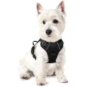imagerabbitgoo Dog Harness No Pull with 2 Leash Clips Adjustable Soft Padded Reflective Oxford No Choke Pet Vest with Easy Control Handle for Large Dogs Pink LBlack