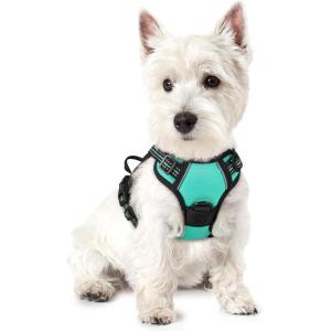 imagerabbitgoo Dog Harness No Pull with 2 Leash Clips Adjustable Soft Padded Reflective Oxford No Choke Pet Vest with Easy Control Handle for Large Dogs Pink LTurquoise