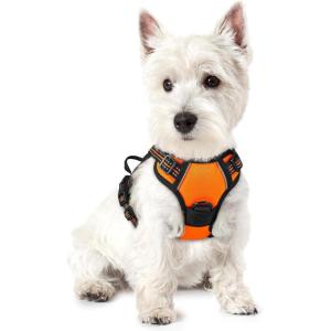 imagerabbitgoo Dog Harness No Pull with 2 Leash Clips Adjustable Soft Padded Reflective Oxford No Choke Pet Vest with Easy Control Handle for Large Dogs Pink LOrange