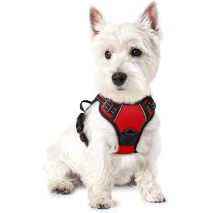 imagerabbitgoo Dog Harness No Pull with 2 Leash Clips Adjustable Soft Padded Reflective Oxford No Choke Pet Vest with Easy Control Handle for Large Dogs Pink LRed