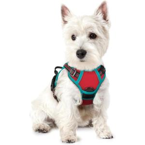 imagerabbitgoo Dog Harness No Pull with 2 Leash Clips Adjustable Soft Padded Reflective Oxford No Choke Pet Vest with Easy Control Handle for Large Dogs Pink LRed  Teal