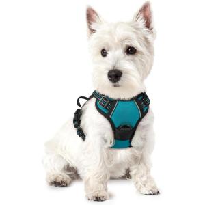 imagerabbitgoo Dog Harness No Pull with 2 Leash Clips Adjustable Soft Padded Reflective Oxford No Choke Pet Vest with Easy Control Handle for Large Dogs Pink LTeal