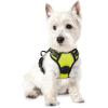 imagerabbitgoo Dog Harness NoPull Pet Harness with 2 Leash Clips Adjustable Soft Padded Dog Vest Reflective NoChoke Pet Oxford Vest with Easy Control Handle for Large Dogs Purple LWild Lime