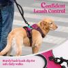 imagerabbitgoo Dog Harness NoPull Pet Harness with 2 Leash Clips Adjustable Soft Padded Dog Vest Reflective NoChoke Pet Oxford Vest with Easy Control Handle for Large Dogs Purple LHot Pink