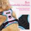 imagerabbitgoo Dog Harness NoPull Pet Harness with 2 Leash Clips Adjustable Soft Padded Dog Vest Reflective NoChoke Pet Oxford Vest with Easy Control Handle for Large Dogs Purple LPink  Blue