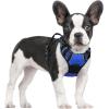imagerabbitgoo Dog Harness NoPull Pet Harness with 2 Leash Clips Adjustable Soft Padded Dog Vest Reflective NoChoke Pet Oxford Vest with Easy Control Handle for Large Dogs Purple LDazzling Blue
